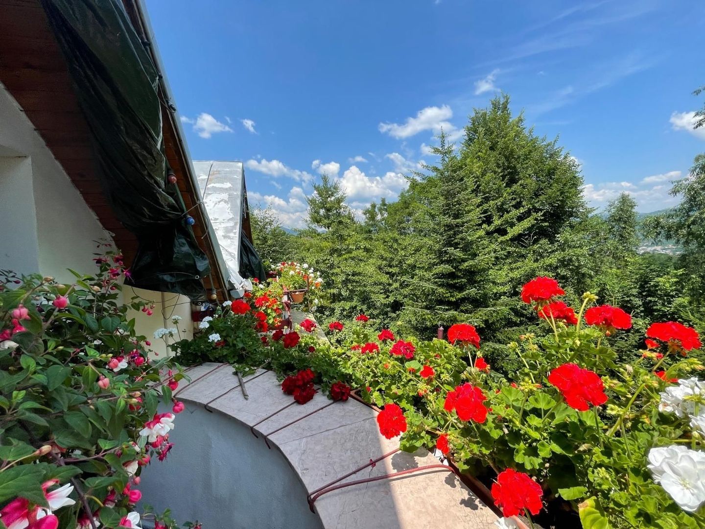 Vila în Breaza 230mp – Curte cu o priveliste superba -3.155mp - Poză 2