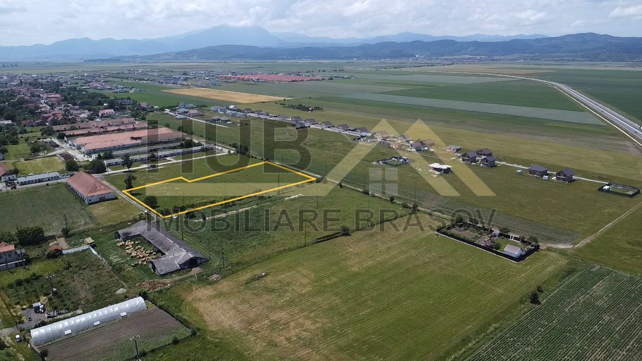 Oportunitate Investitie Cristian | Intravilan | Necesar PUZ | 9.650mp - Poză 5