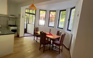 Vilă 816 mp | 20 ari teren | Valea Roșie | Ideală pentru investitie - Poză 24