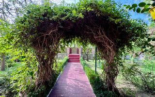 Hotel 20 camere Delta Dunarii 50 m deschidere teren 6000 mp acces auto - Poză 68