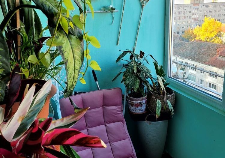 1 camera zona Circumvalatiunii - Poză 1