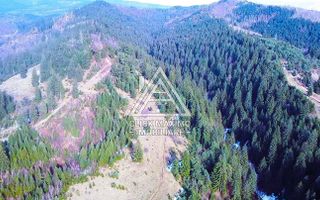 Teren 8 ha cu 15 izvoare minerale, lângă Câmpulung Argeș - Poză 2