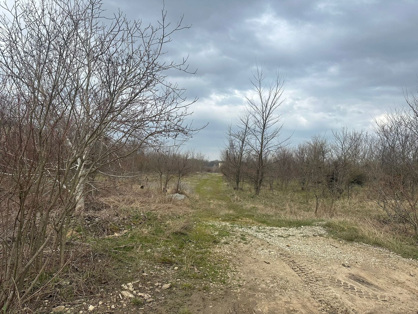 Teren intravilan cu PUZ aprobat 33.683 mp – Săftica/Balotești – deschidere DN1 - Poză 21