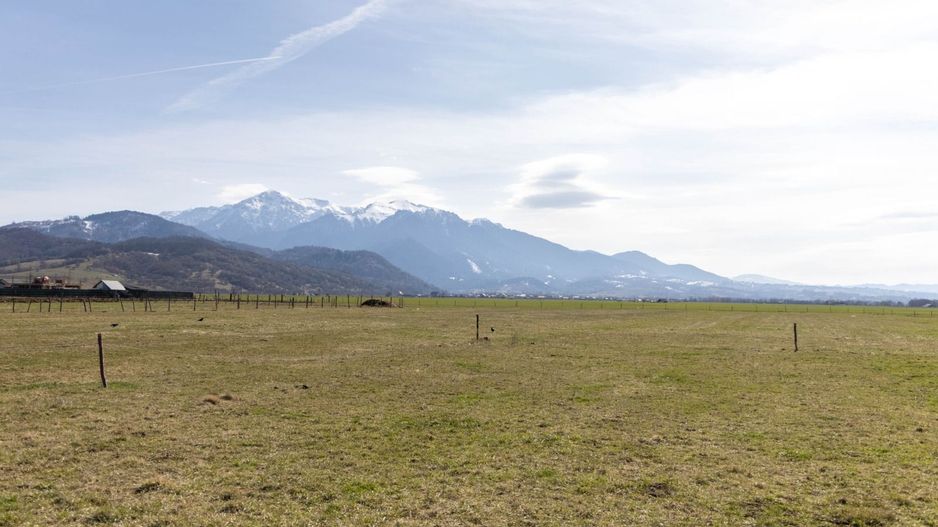 Teren 6500 mp | Intravilan | Rasnov zona Glajerie - Poză 6