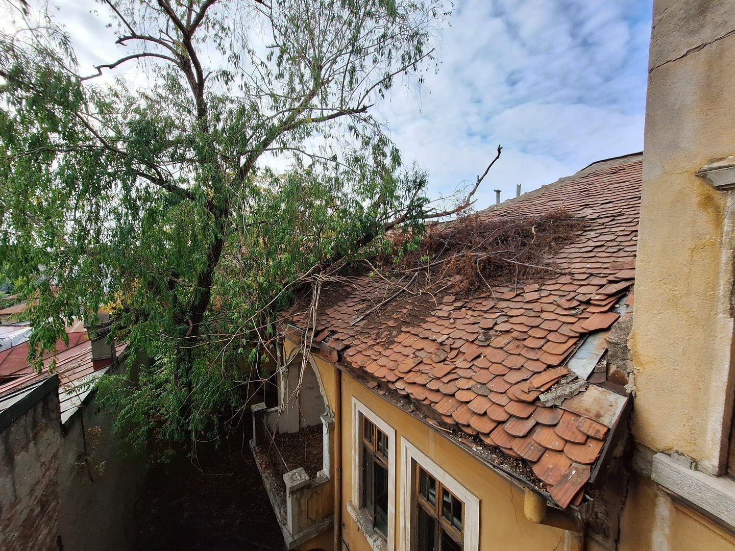 Proprietate Prestigioasa 700 mp - 344 mp teren Pache - Ferdinand - Poză 13