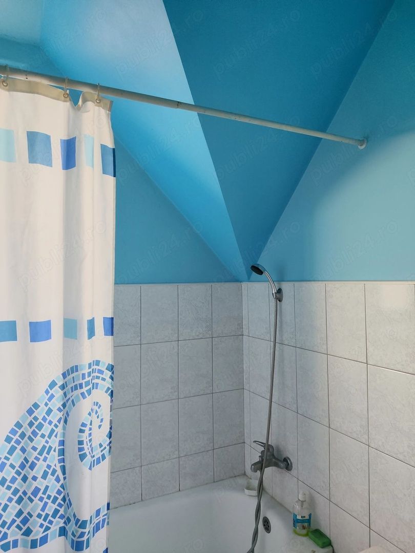 de vanzare casa in Satu Mare strada Bradului - Poză 5