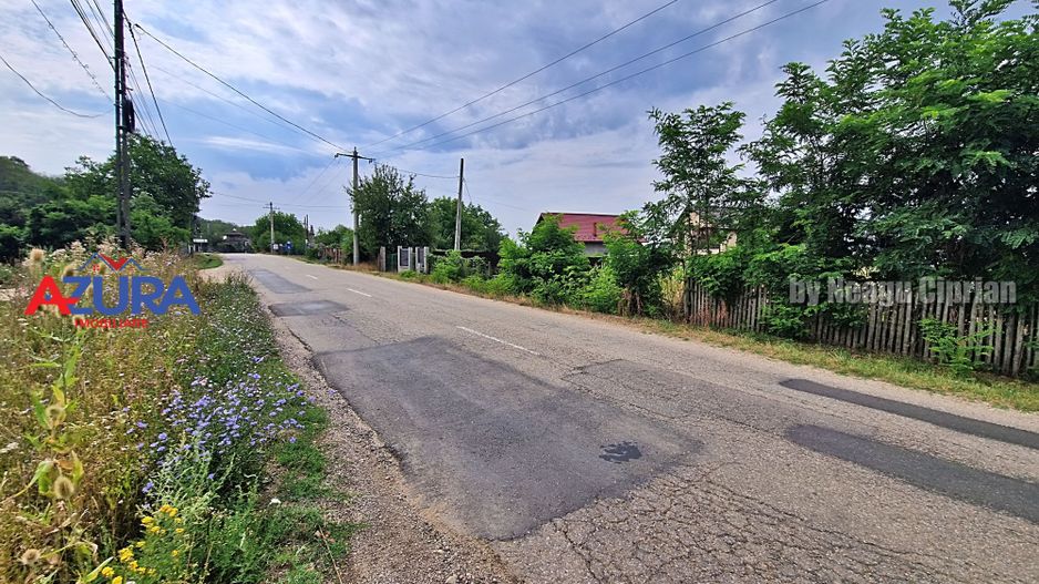 AZURA Imobiliare - Teren Budeasa Galasesti Calotesti - Poză 2