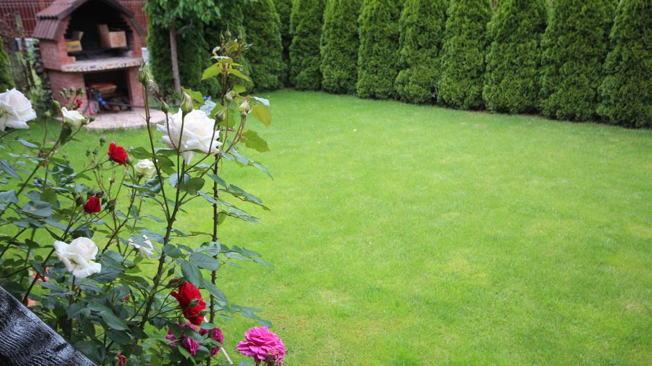 Casa individuala, ideala pentru o familie - Poză 1