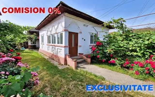 AZURA Imobiliare - Casa Merisani zona Primarie, Panouri fotovoltaice - Poză 33