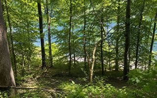 Teren intravilan cu acces la Lacul Tarnița – Somesu Cald - Poză 2