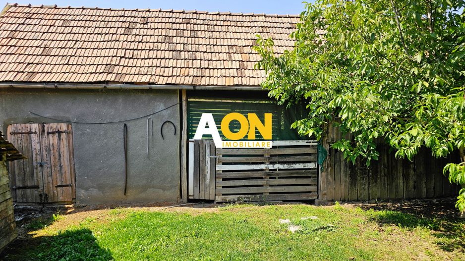 Casă batranească, 3 camere, 2200 mp teren, sat Bucerdea Grânoasă - Poză 13