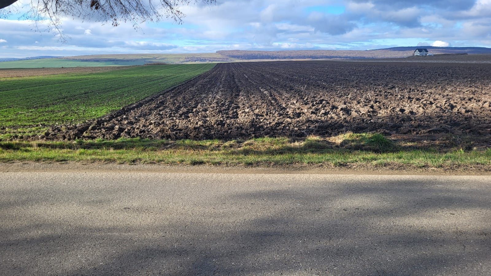 Teren 36 Ari | Mitocu Dragomirnei | 25.500 € - Poză 3