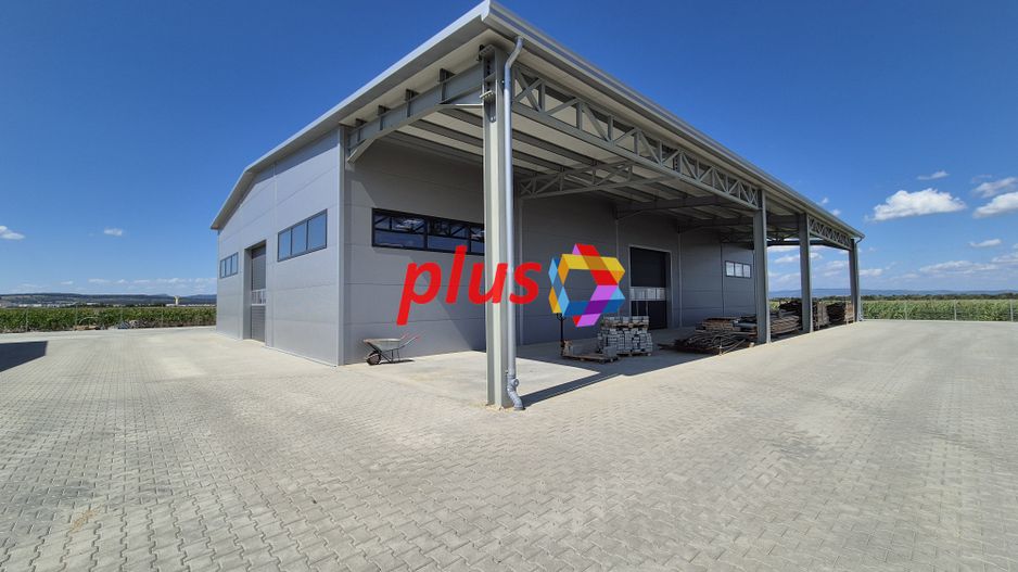 Hala - 1400 mp  # plus-imo.ro - Poză 15