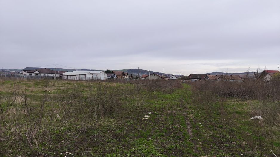 Teren drept  19059 mp - toate utilitățile - asfalt - Sancrai - Poză 2