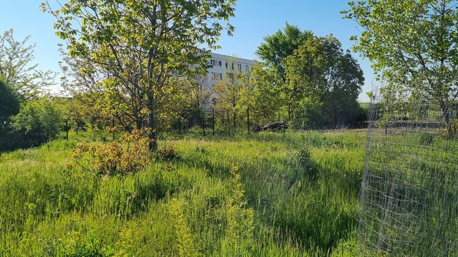 Teren  stradal dezvoltare imobiliara - Poză 6