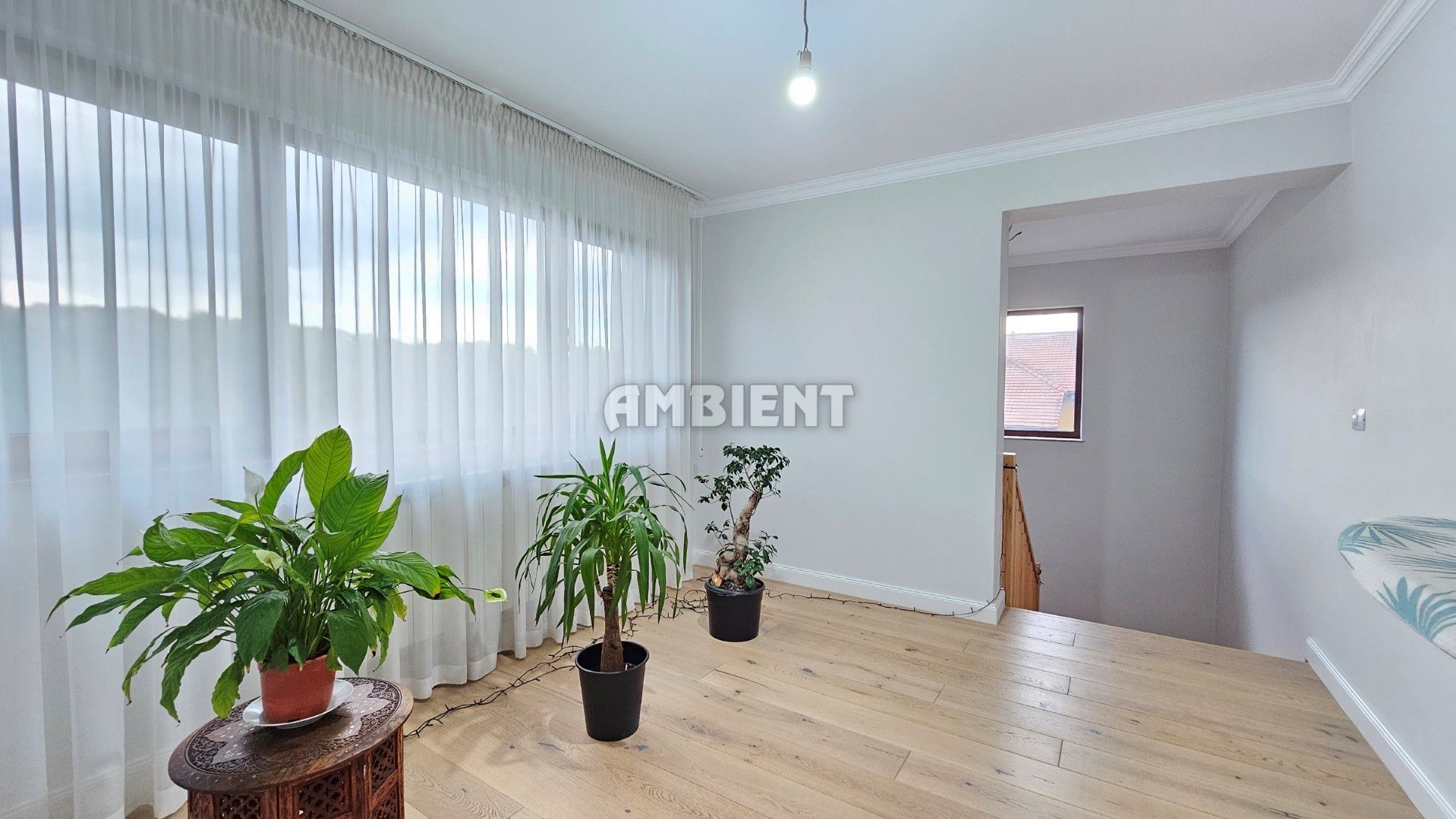 VILĂ individuală P+1E,  teren 1.500 mp, VASLUI zona Castanilor; - Poză 3
