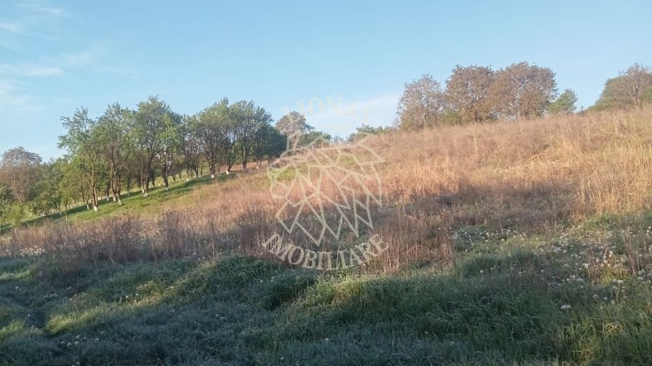 Teren intravilan 100 ari  front 80 ml utilități drum asfaltat Ghirolt Gherla - Poză 1