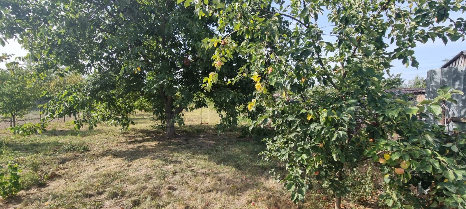 Teren 2000 mp de vânzare – Comana, deschidere la lac, aproape de Parcu - Poză 7
