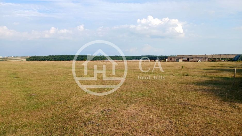 Teren 7700 mp de vanzare in Sanmartin, Bihor - Poză 1