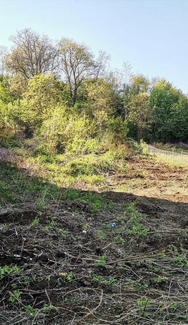 Teren intravilan 1000 mp-ideal afacere,investitie,hala-Zona Centura - Poză 2