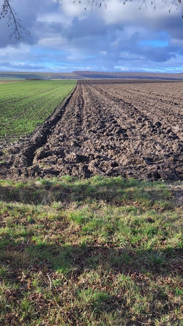 Teren 36 Ari | Mitocu Dragomirnei | 25.500 € - Poză 1