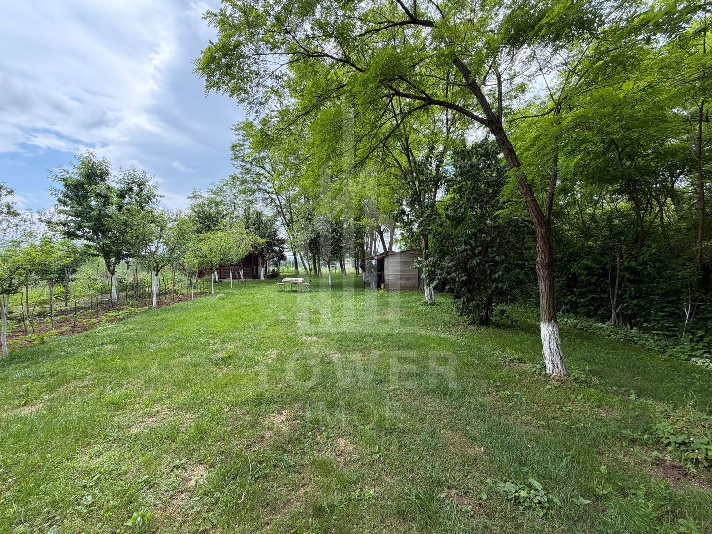 OCAZIE RARĂ - Teren cu cabană de vânzare lângă Lacurile Naturale - Ocna Sibiului - Poză 12