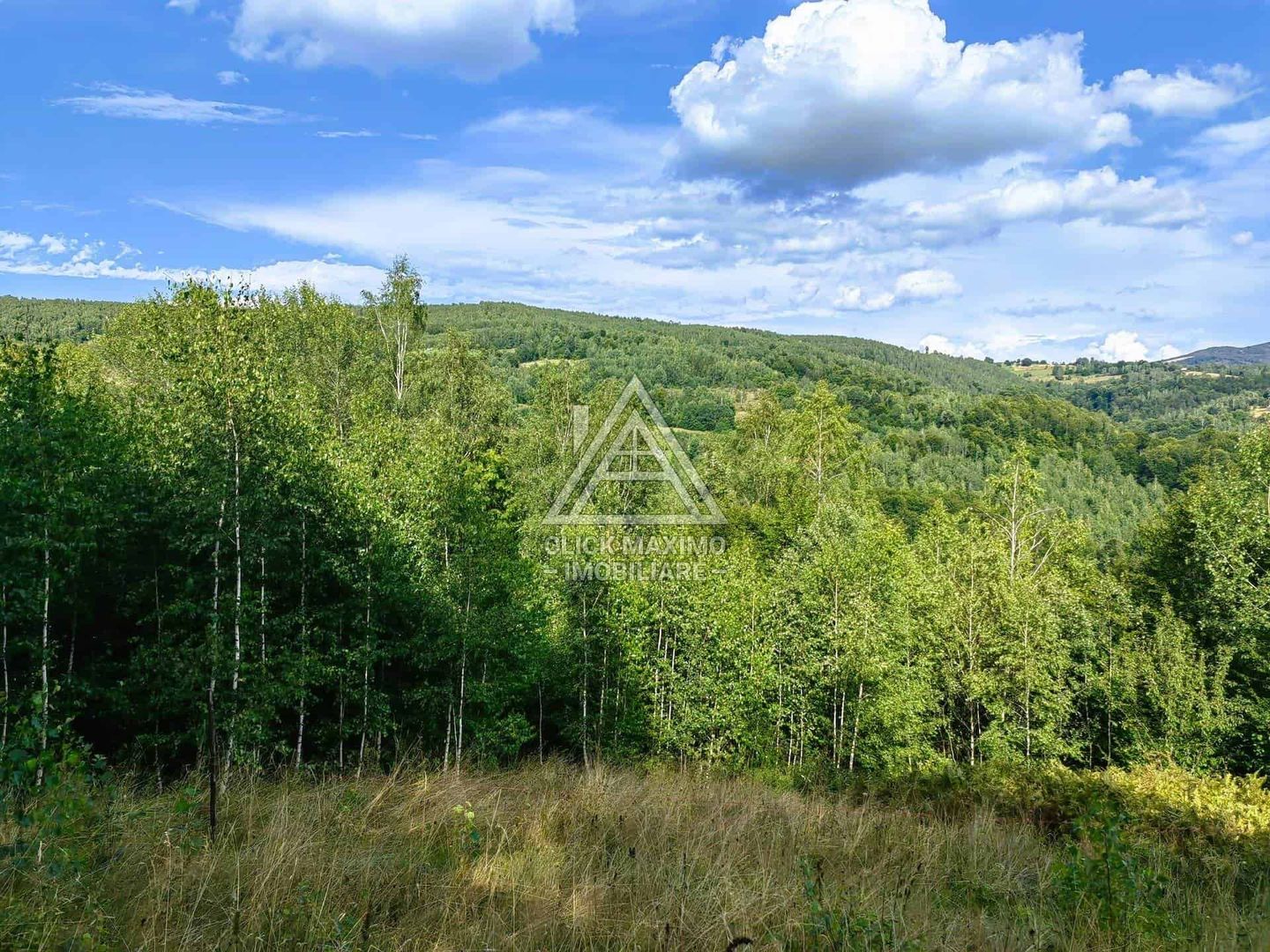 Casa,anexe si14.328 mp teren partial intravilan, com. Bulz, jud. Bihor - Poză 1