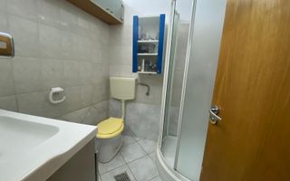 Apartament in vila centrala- Dacia – Spațiu Generos - Poză 9
