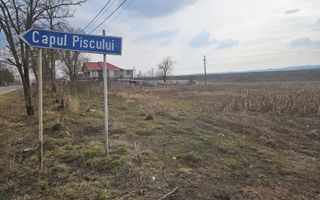 SUPEROFERTA !!! Teren 8000 mp,  Merisani, langa DN si Autostrada - Poză 4