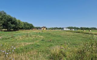 Oportunitate investitie, teren Bod, Brasov. - Poză 2