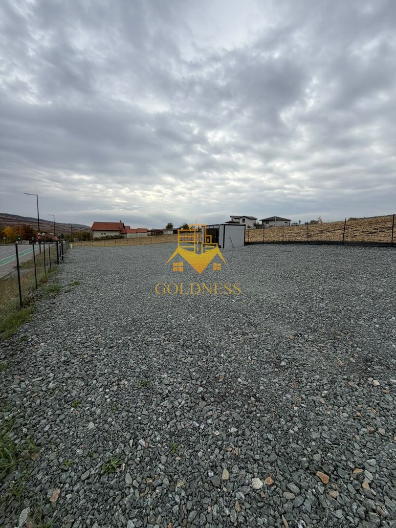 TEREN, 1000 MP, FRONT 57 ML,CONTAINER BIROU, VALEA CHINTAULUI - Poză 3