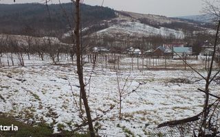 Teren intravilan 704 mp, acces asfaltat, priveliste Padurea Breazu - Poză 16