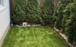 Apartament 3 camere cu curte - Poză 4