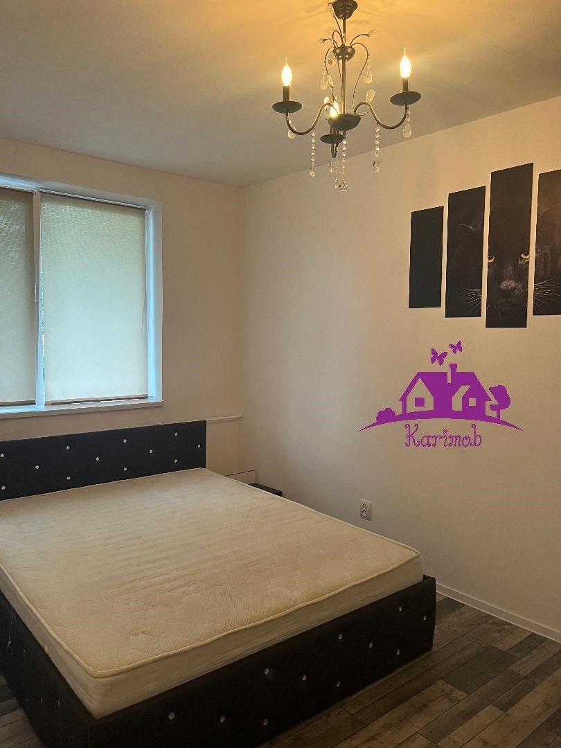 Apartament de inchiriat pe b-dul Dacia - Poză 8