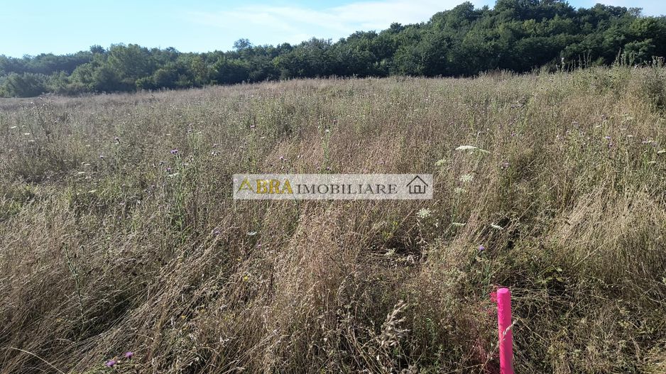 Teren intravilan investitie turism balnear fonduri europene - Poză 6