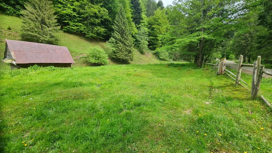 13005 mp teren faneata in Bran Simon cu fornt de 57 mp - Poză 4