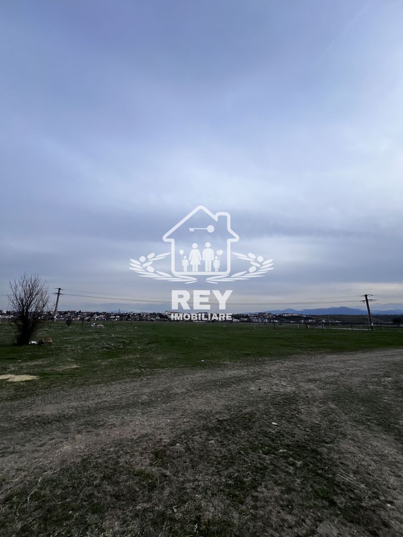 Teren Arabil Turnișor - Spre ferma de pui - Poză 6