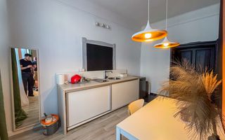 Studio langa Parcul Feroviarilor cu gradina proprie - Poză 3