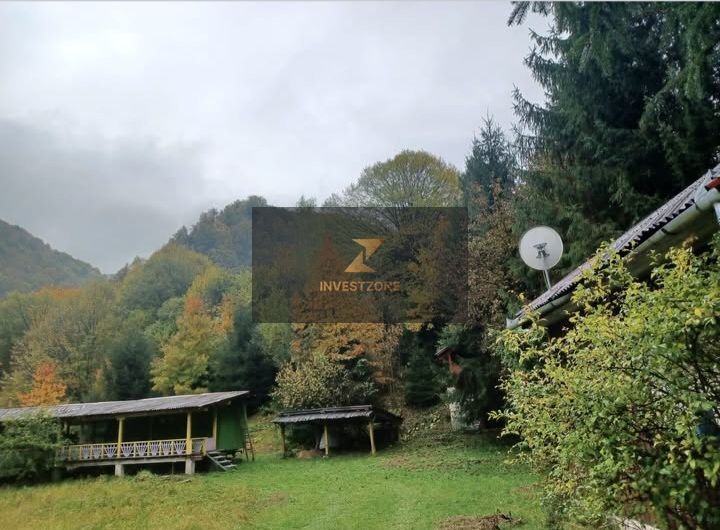 Teren de vis de vanzare in Remeti-Bihor-27p0 mp - Poză 2