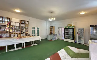 Spații de Inchiriat - Proprietate cu funcțiuni mixte – Str. Căplenilor Carei - Poză 18