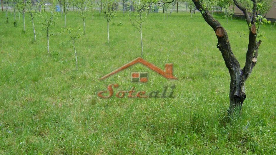 Teren de vanzare in Cornu 1183 mp - Poză 7