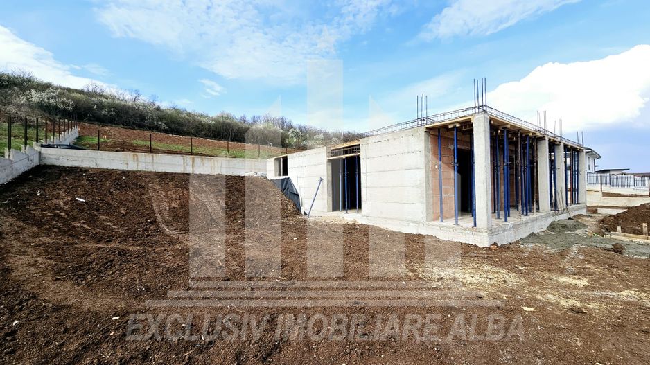 Casa individuala de vanzare, Cetate - Piata - Poză 6