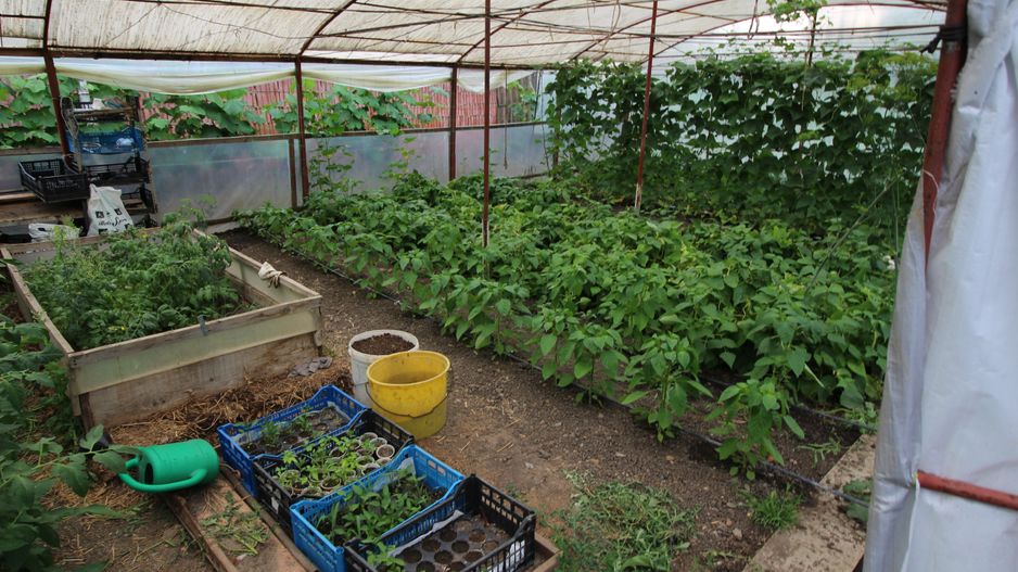 CASA CU TEREN MARE IN ZONA MEHALA - Poză 16