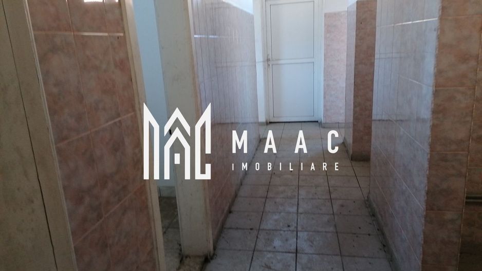 Teren 20000 mp I 3 corpuri cladire I Cristian - Poză 15