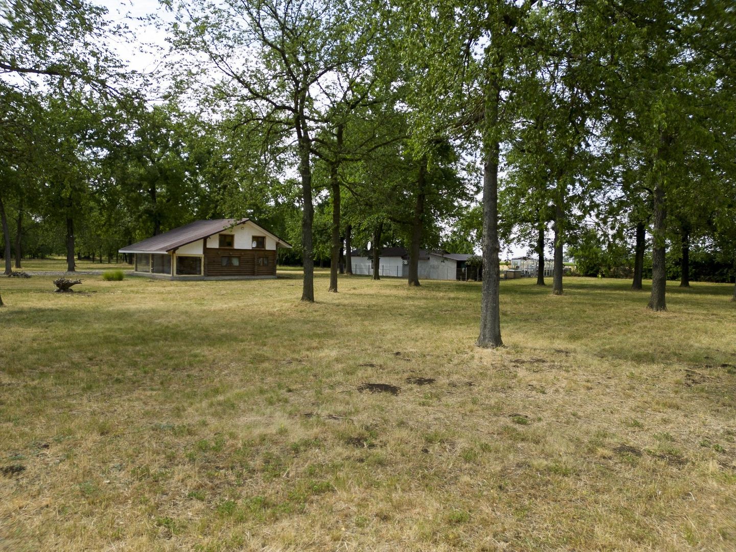 Teren intravilan Şofronea - Poză 3