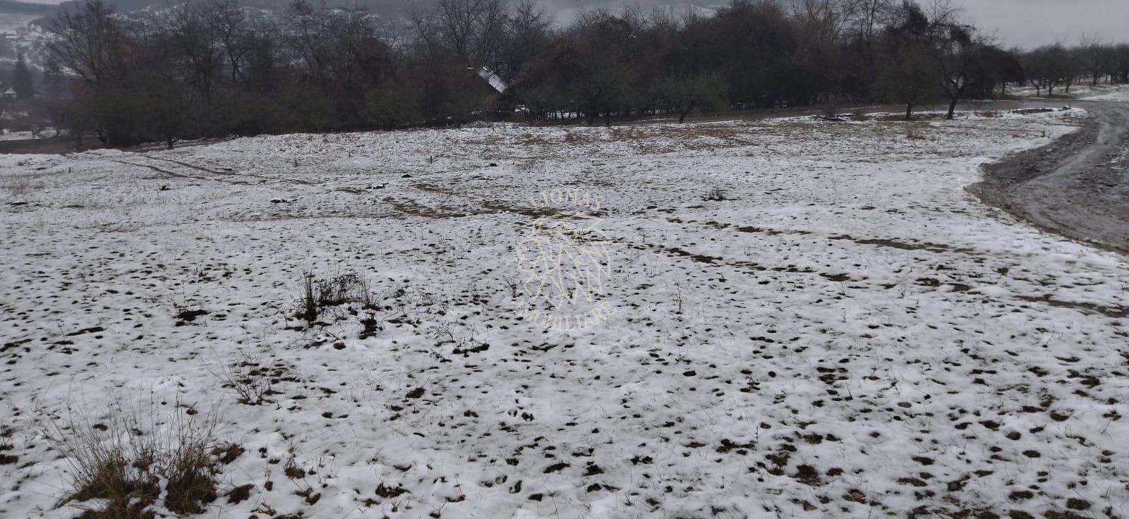 3 Parcele de teren 500 mp si 900 mp cu utilitati-Valea Ghinzii - Poză 5