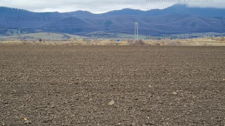Teren Agricol 2,9 HA,intre Cristian si Vulcan/teren SPORT - Poză 2