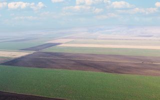 5 Ha | Teren extravilan | Langa Fabrica Reci - Poză 3