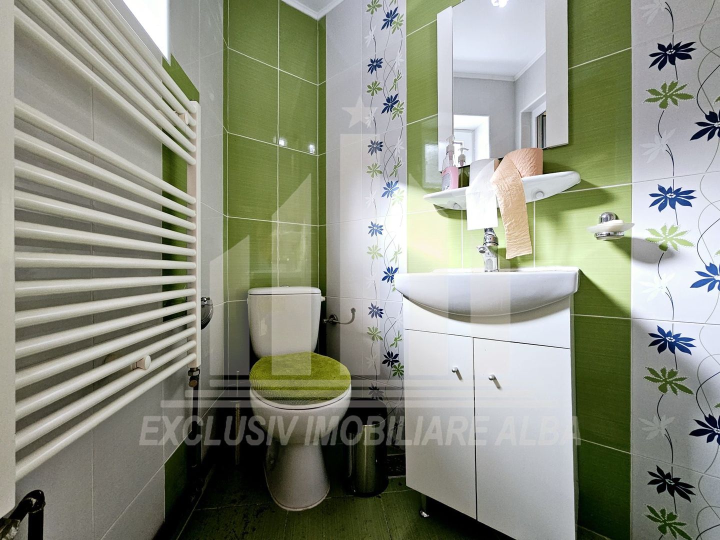 Casa de vacanta cu potential de Pensiune Turistica, Ramet - Poză 9