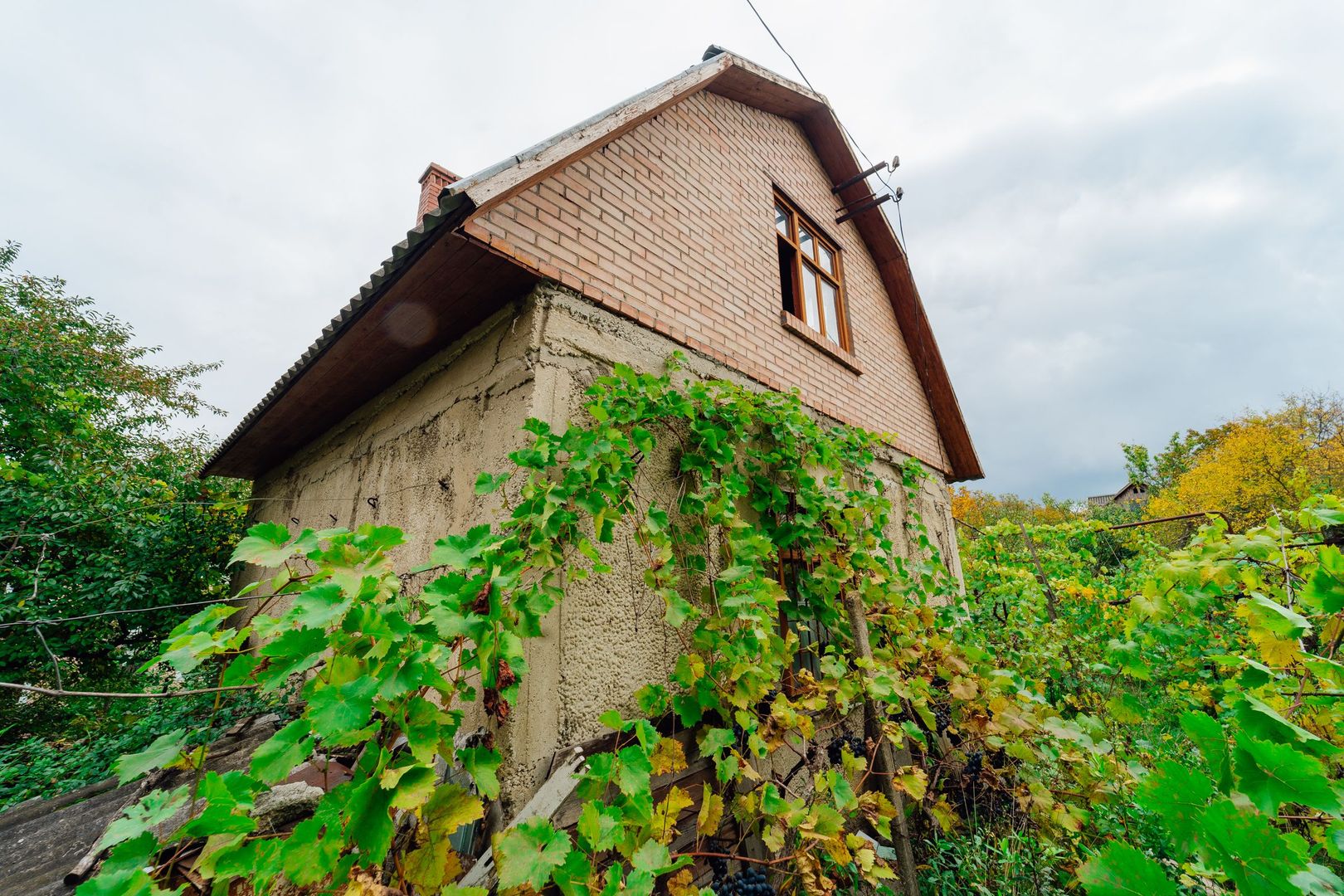 Lot pomicol de 6 ari în Ialoveni, cu construcție auxiliară. - Poză 5